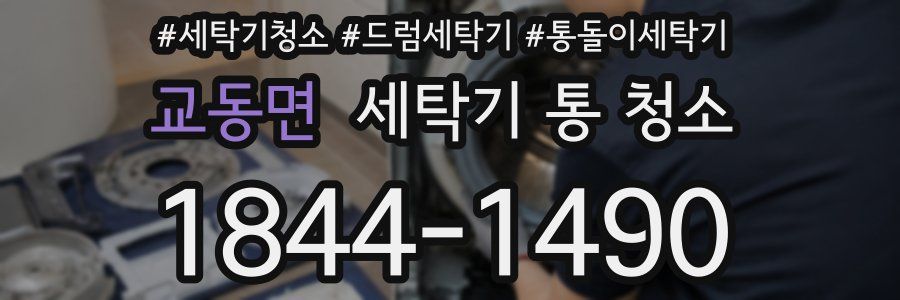 교동면 세탁기 통 청소
