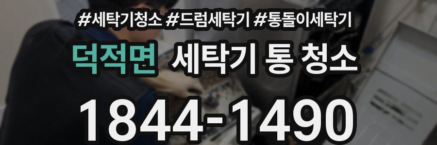 덕적면 세탁기 통 청소
