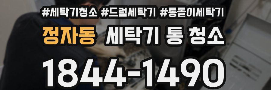 정자동 세탁기 통 청소