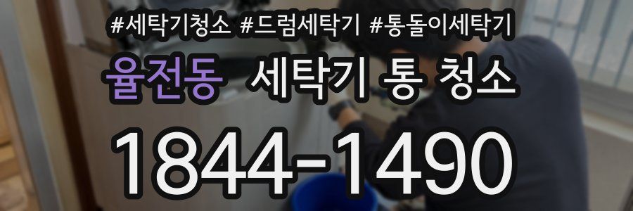 율전동 세탁기 통 청소