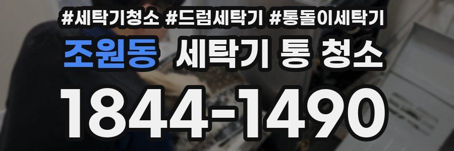 조원동 세탁기 통 청소