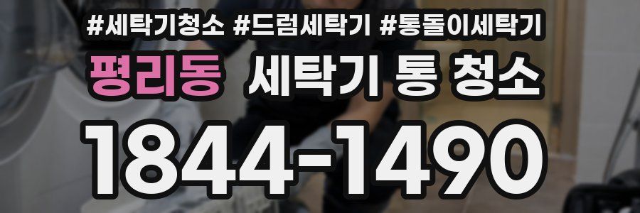 평리동 세탁기 통 청소