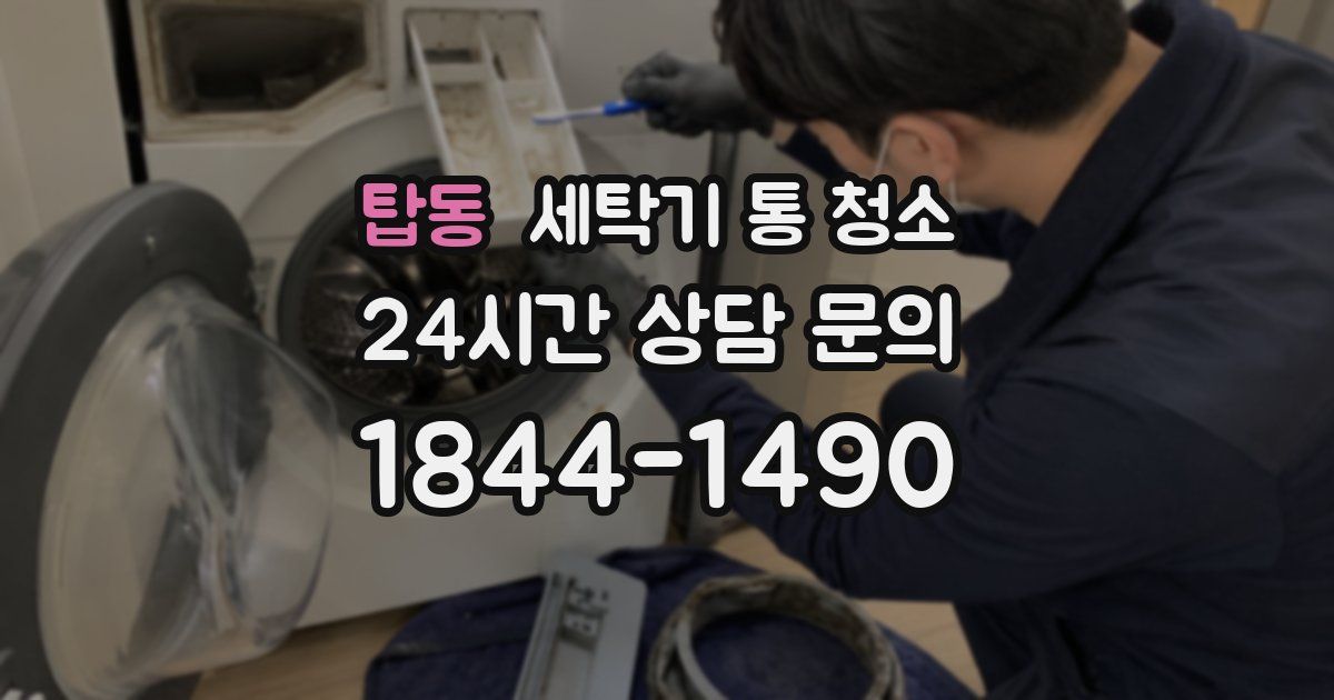 탑동 세탁기 통 청소