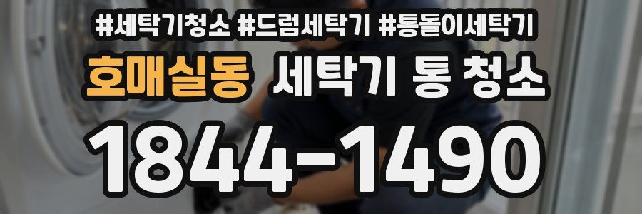 호매실동 세탁기 통 청소