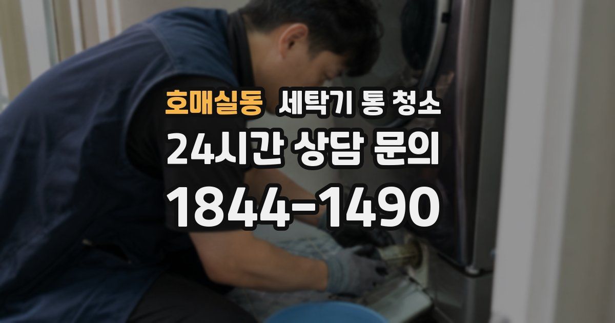호매실동 세탁기 통 청소