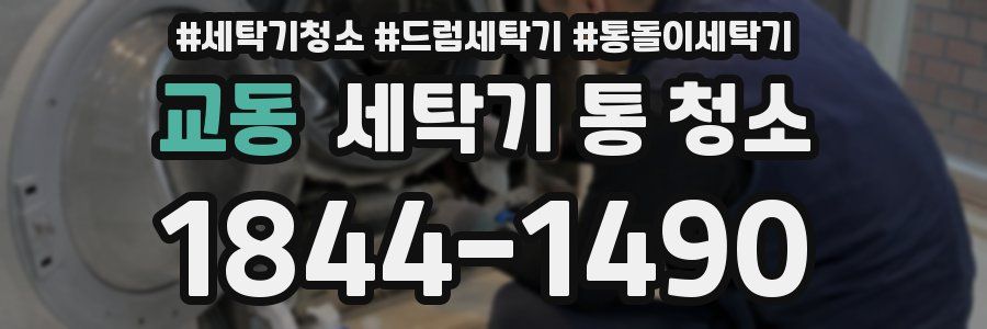 교동 세탁기 통 청소