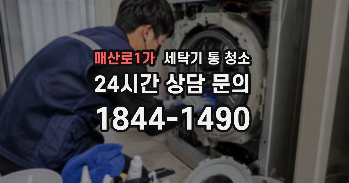 매산로1가 세탁기 통 청소