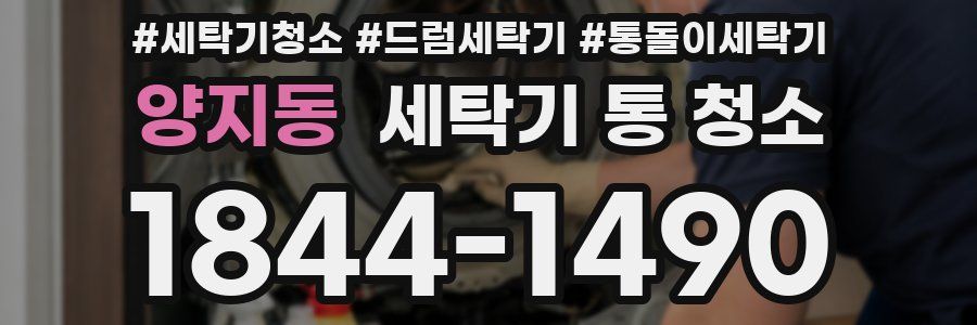 양지동 세탁기 통 청소