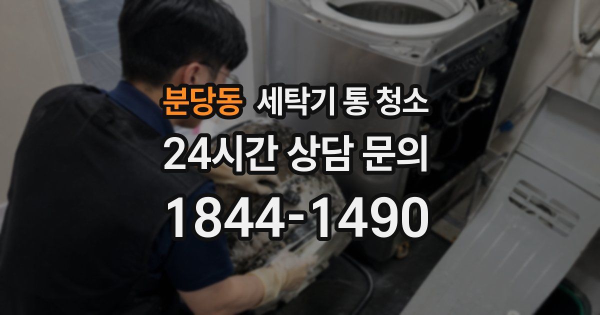 분당동 세탁기 통 청소