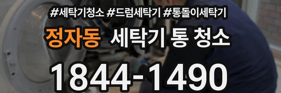 정자동 세탁기 통 청소
