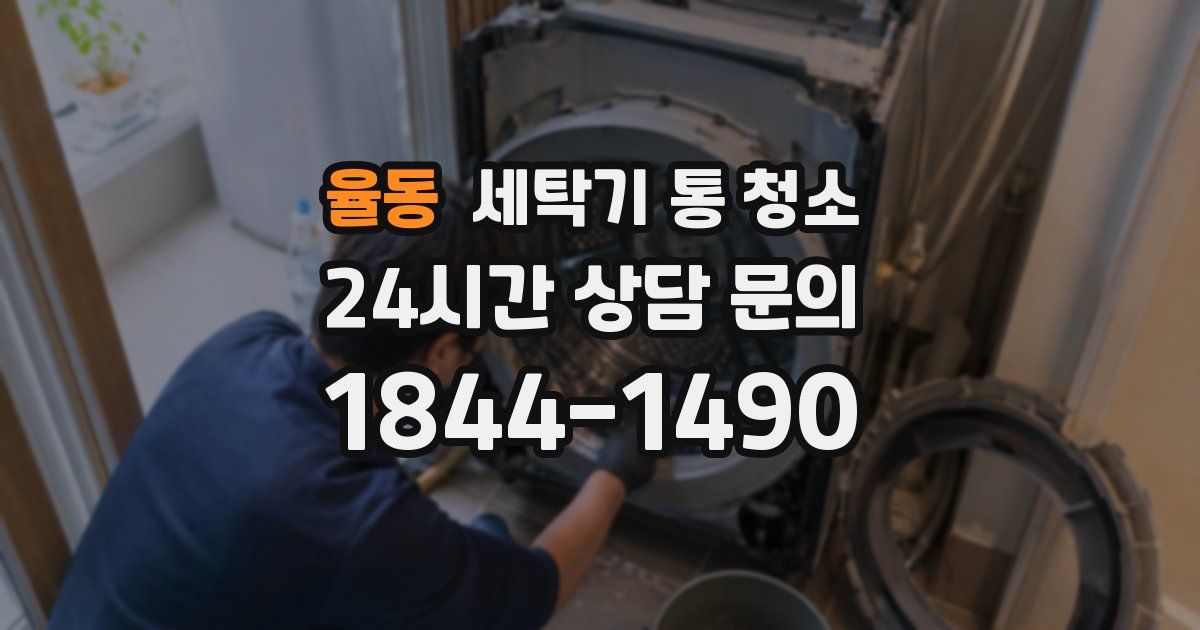 율동 세탁기 통 청소