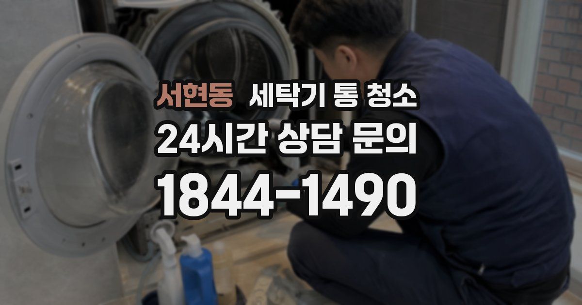 서현동 세탁기 통 청소