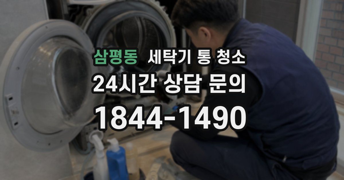삼평동 세탁기 통 청소