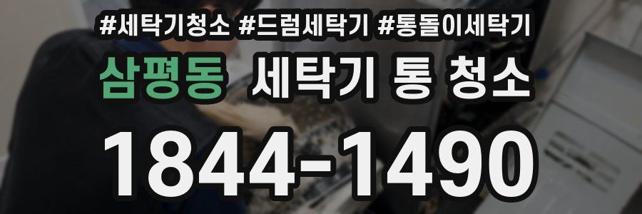 삼평동 세탁기 통 청소