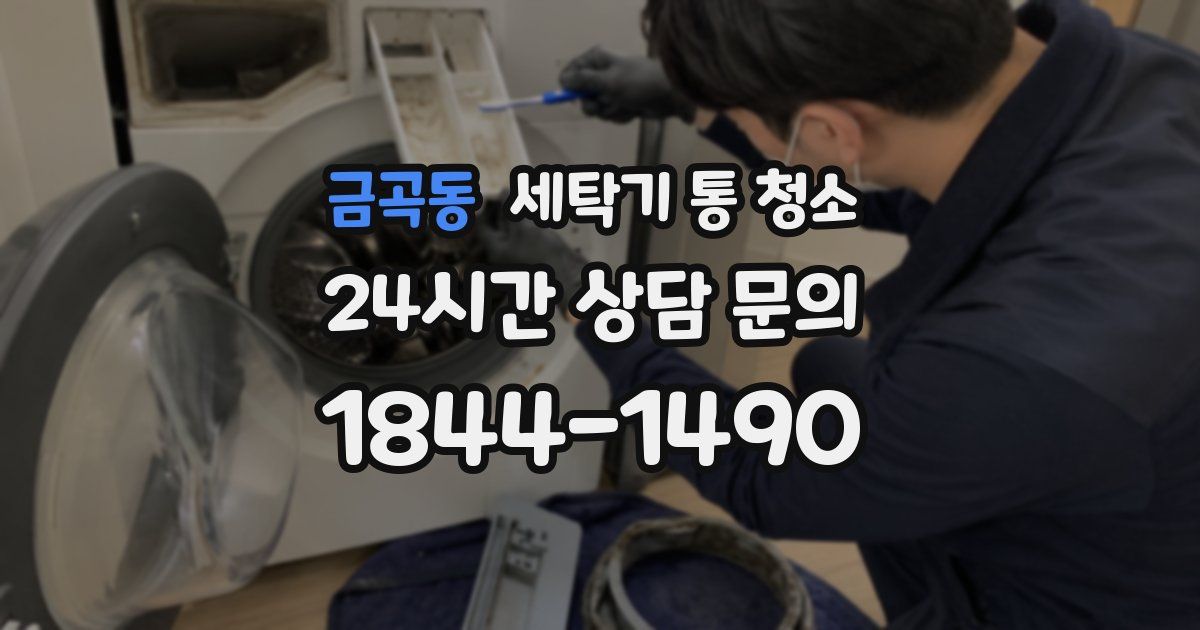 금곡동 세탁기 통 청소