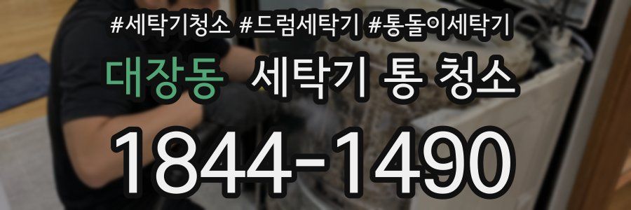 대장동 세탁기 통 청소