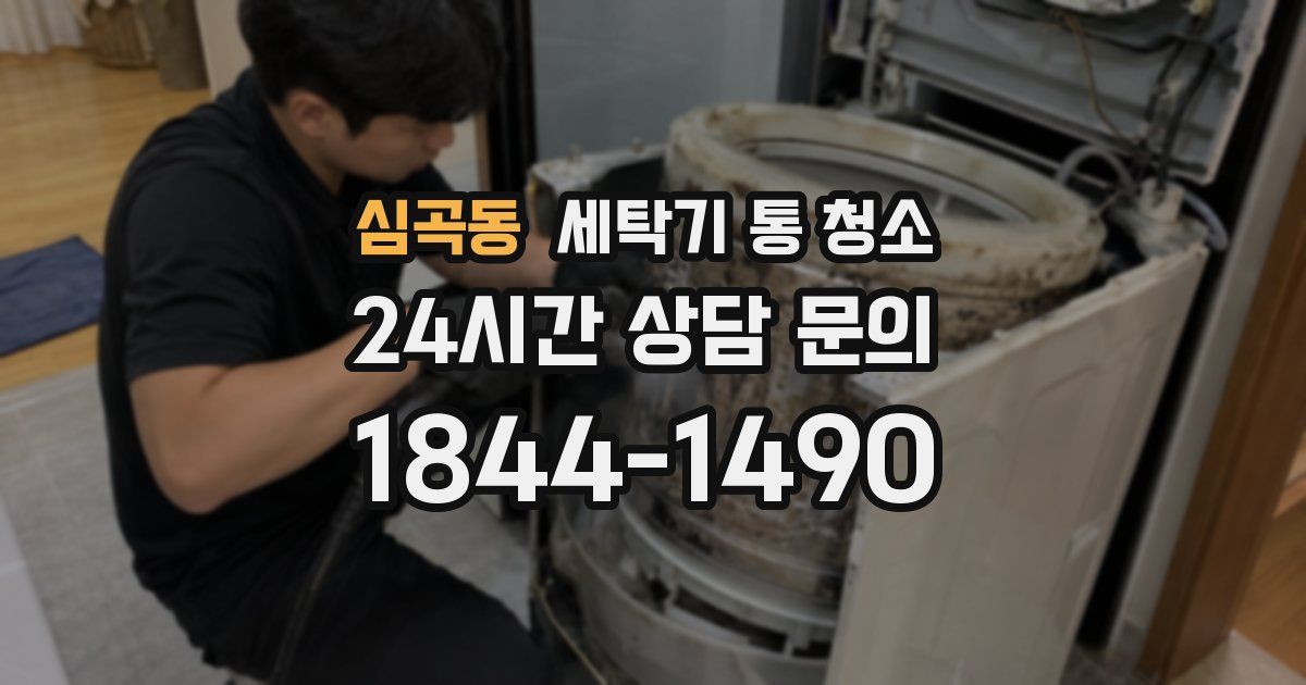 심곡동 세탁기 통 청소