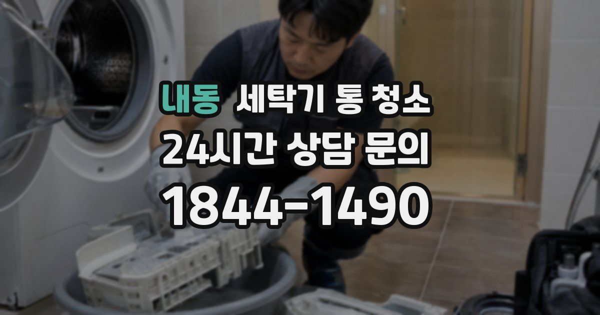 내동 세탁기 통 청소