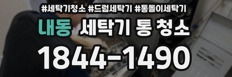 내동 세탁기 통 청소