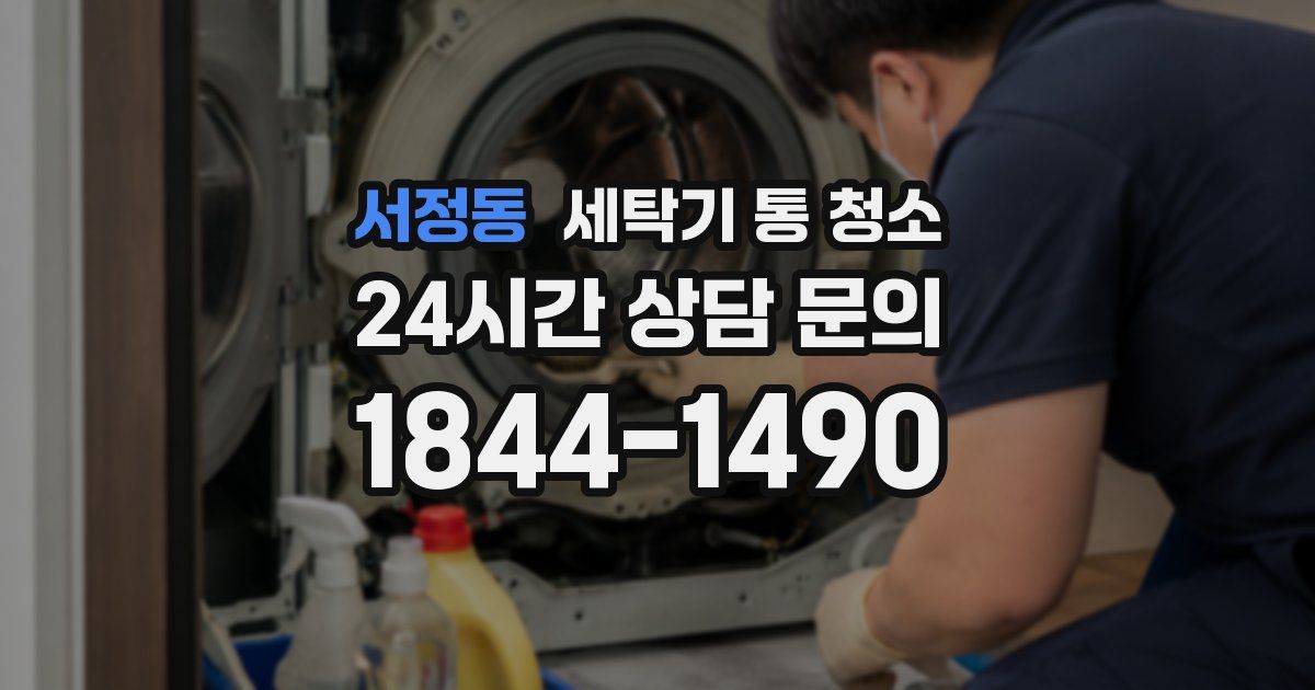 서정동 세탁기 통 청소