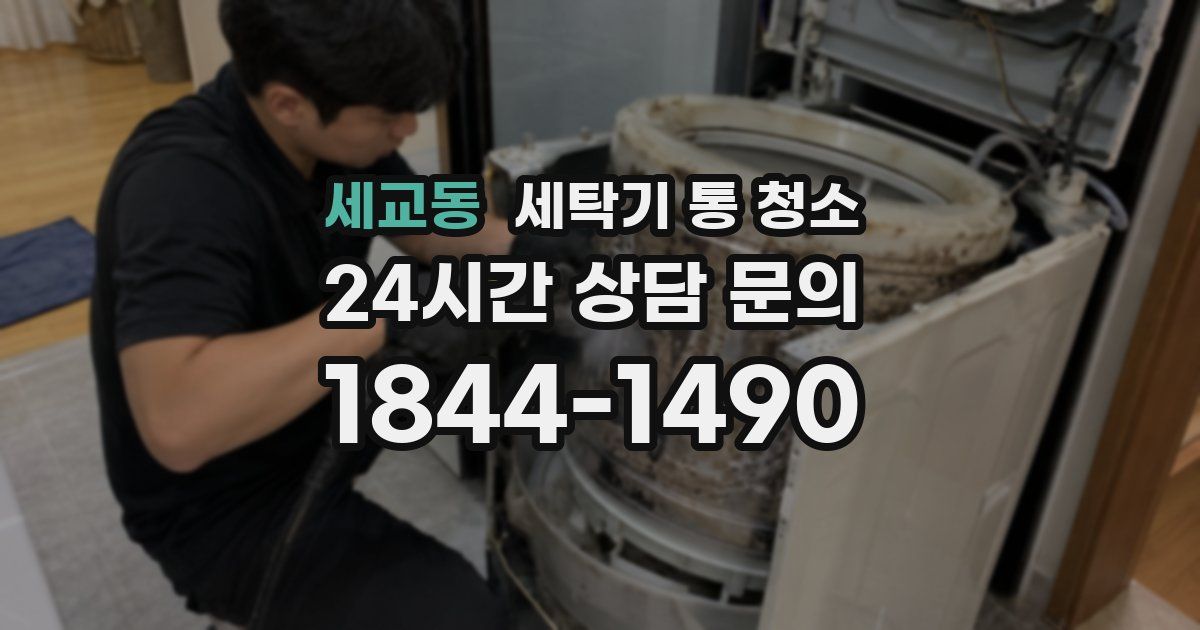 세교동 세탁기 통 청소