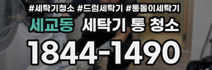 세교동 세탁기 통 청소