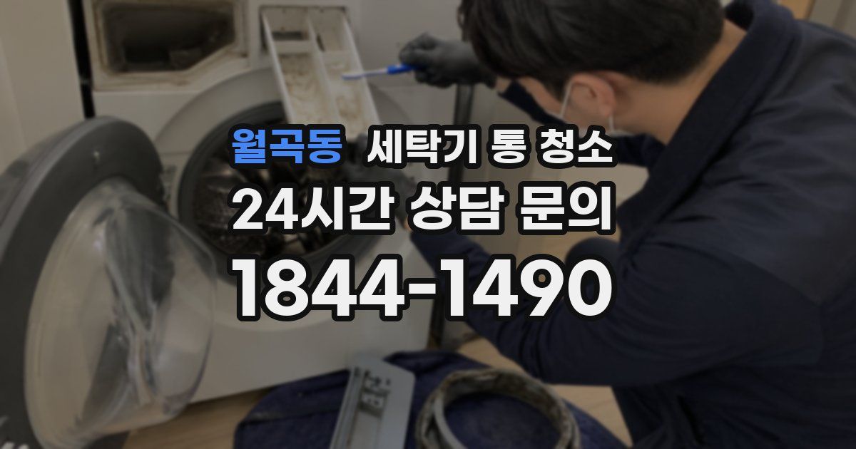 월곡동 세탁기 통 청소