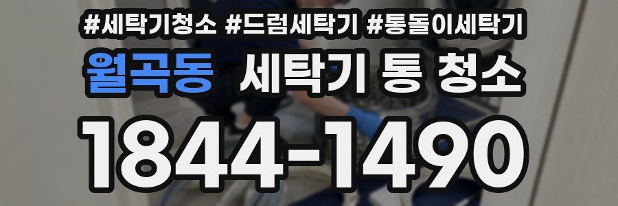 월곡동 세탁기 통 청소