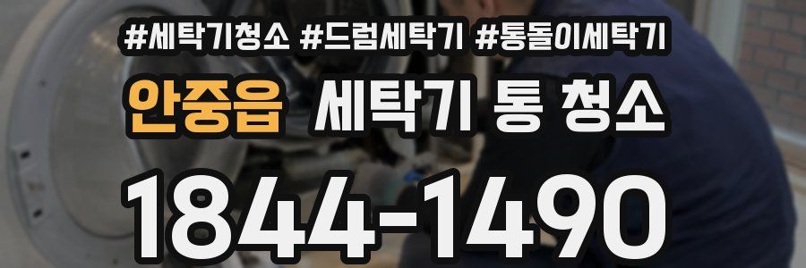 안중읍 세탁기 통 청소