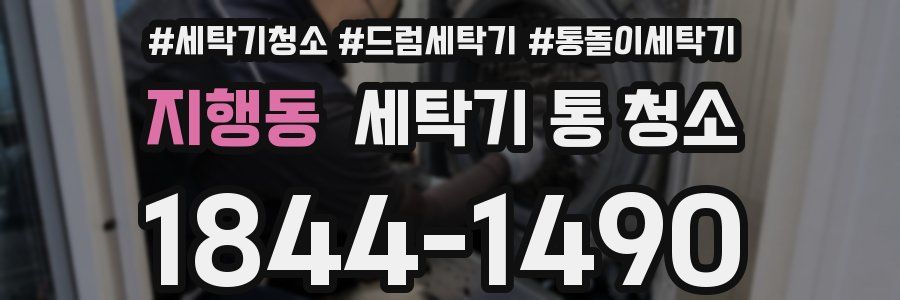 지행동 세탁기 통 청소