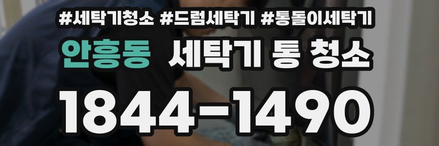 안흥동 세탁기 통 청소