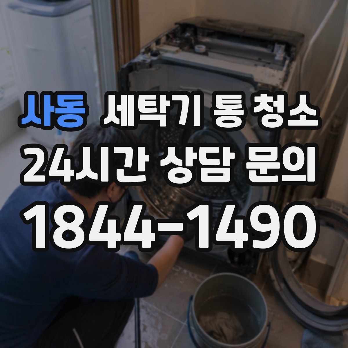 사동 세탁기 통 청소