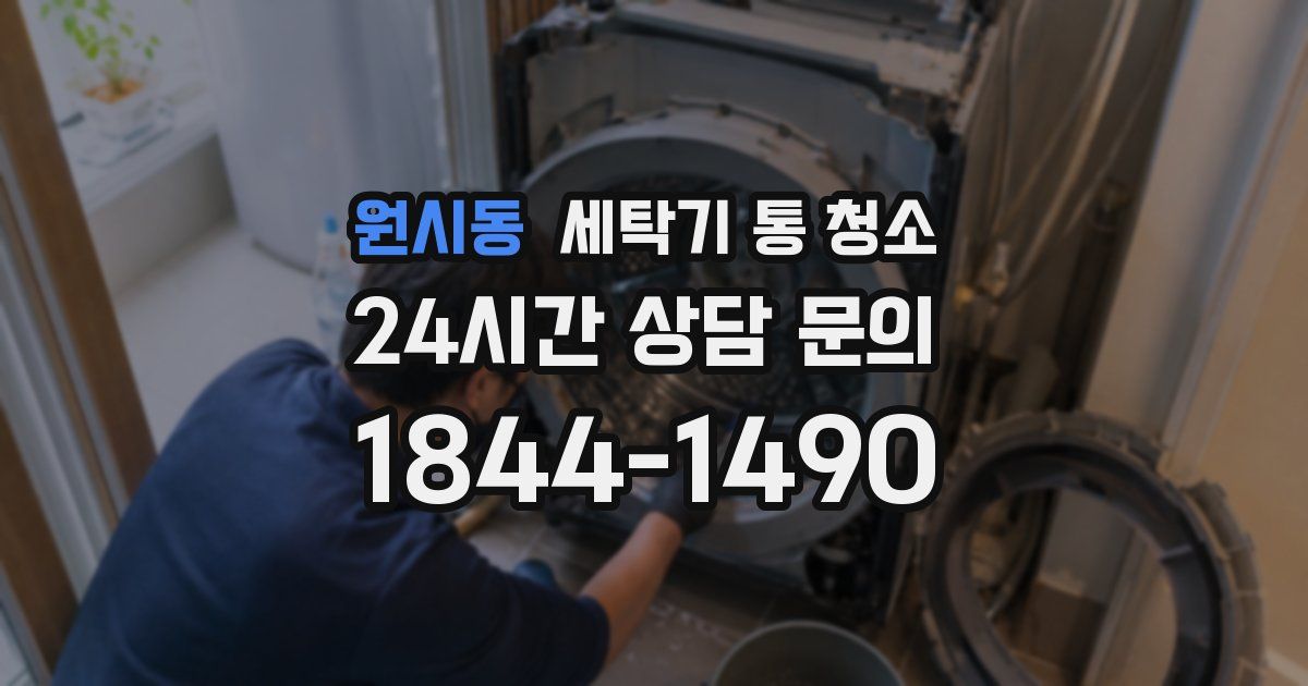 원시동 세탁기 통 청소