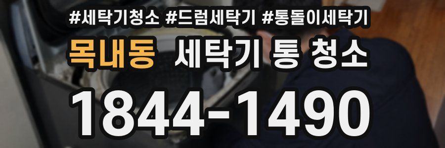 목내동 세탁기 통 청소