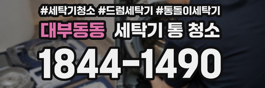 대부동동 세탁기 통 청소