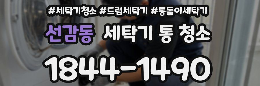 선감동 세탁기 통 청소