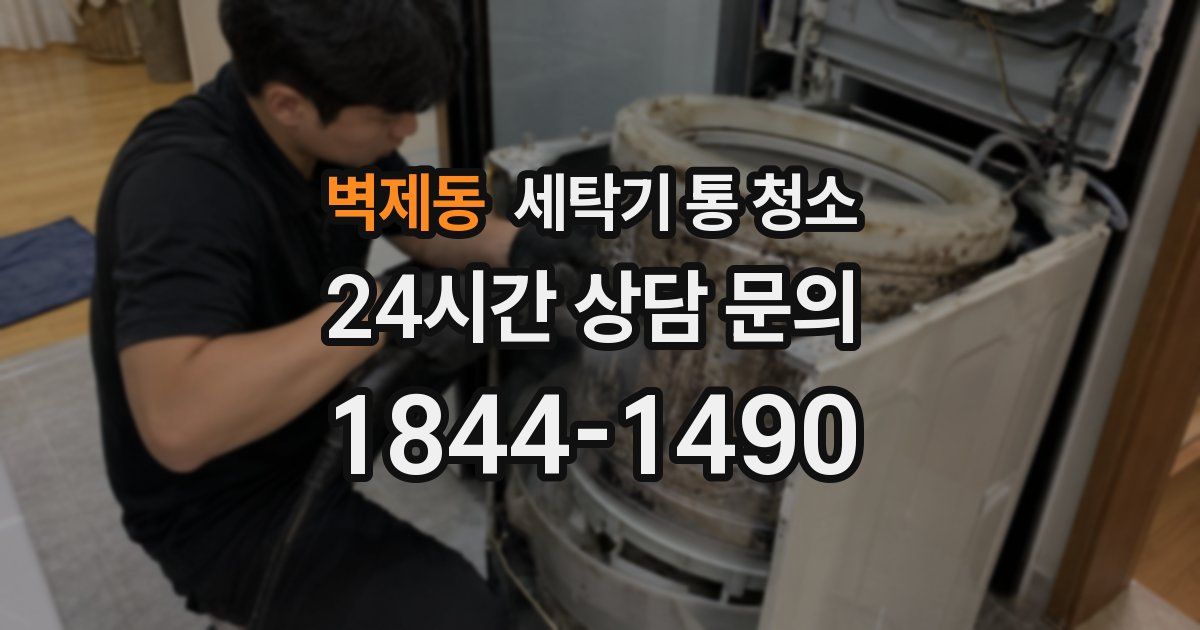 벽제동 세탁기 통 청소