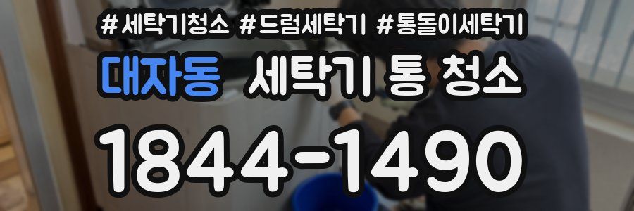 대자동 세탁기 통 청소
