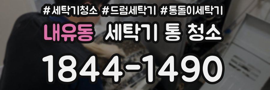 내유동 세탁기 통 청소
