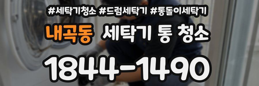 내곡동 세탁기 통 청소