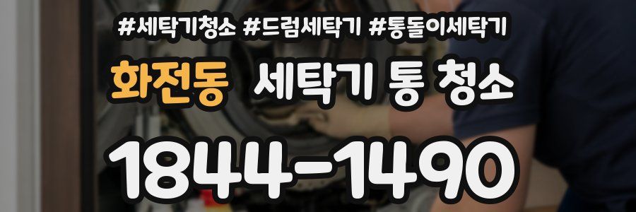 화전동 세탁기 통 청소