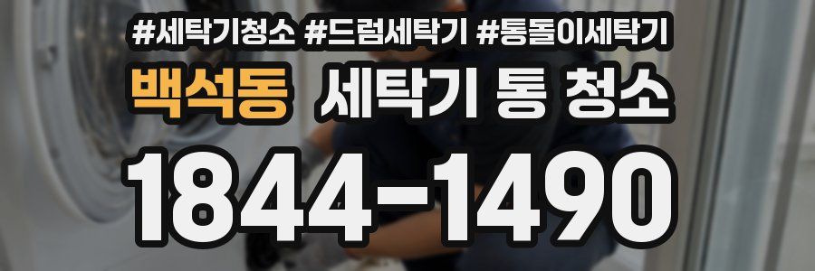 백석동 세탁기 통 청소