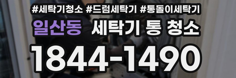 일산동 세탁기 통 청소