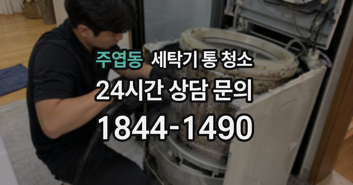 주엽동 세탁기 통 청소