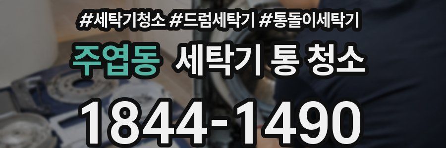 주엽동 세탁기 통 청소