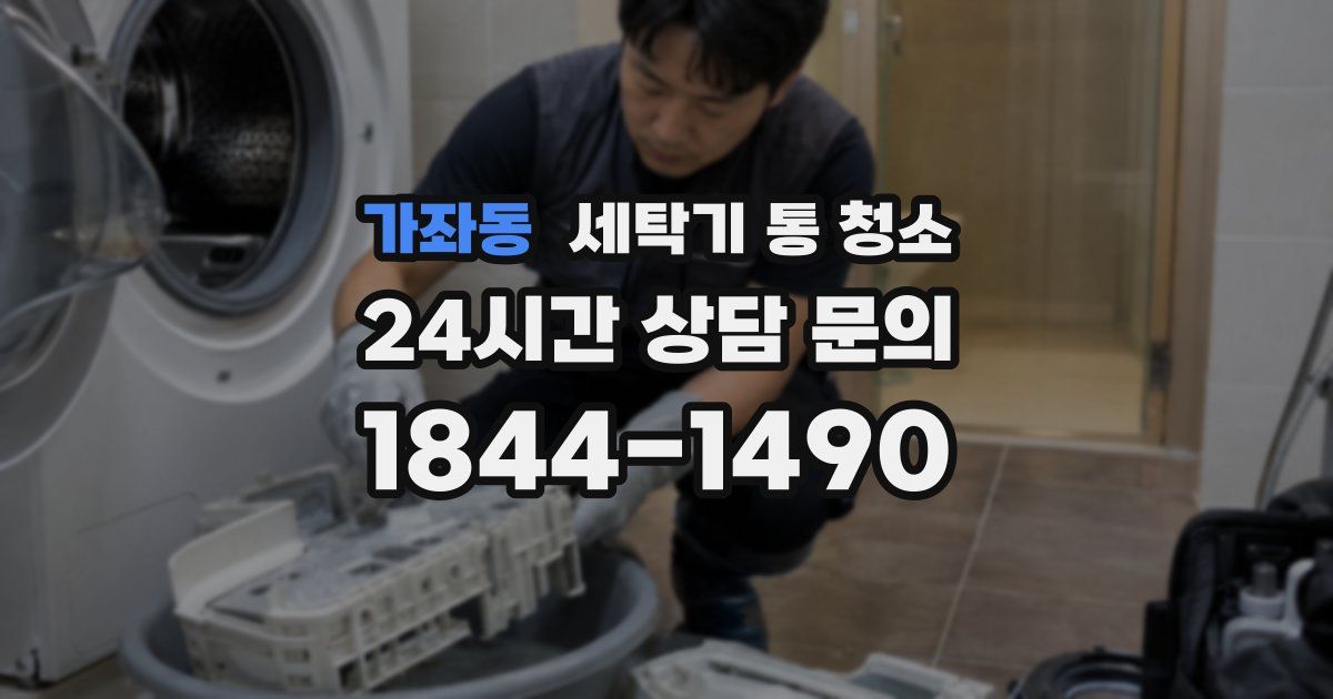 가좌동 세탁기 통 청소