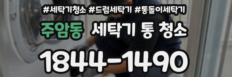 주암동 세탁기 통 청소