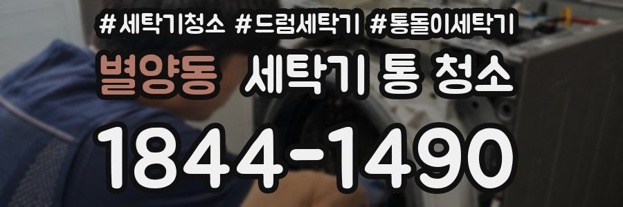 별양동 세탁기 통 청소