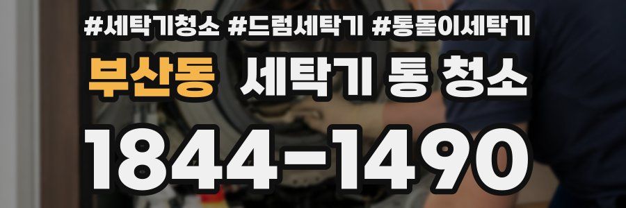 부산동 세탁기 통 청소