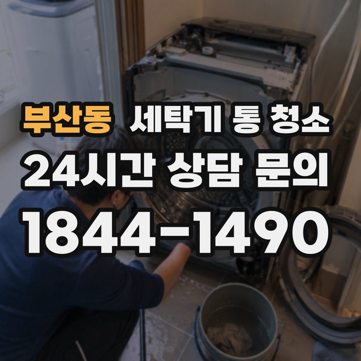 부산동 세탁기 통 청소